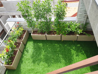 terrace garden designing
